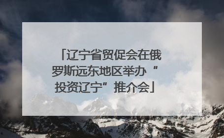辽宁省贸促会在俄罗斯远东地区举办“投资辽宁”推介会