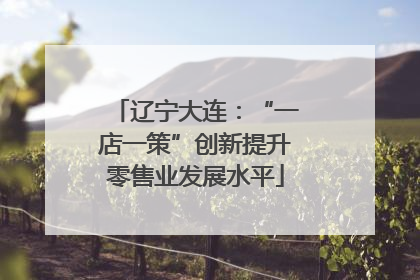 辽宁大连：“一店一策”创新提升零售业发展水平