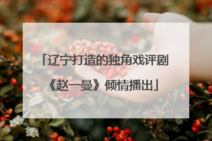 辽宁打造的独角戏评剧《赵一曼》倾情播出