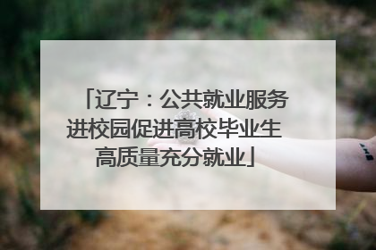 辽宁：公共就业服务进校园促进高校毕业生高质量充分就业