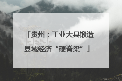 贵州：工业大县锻造县域经济“硬脊梁”