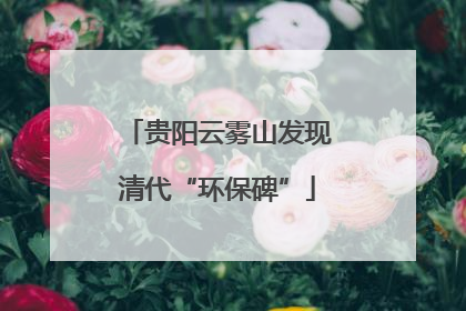 贵阳云雾山发现清代“环保碑”