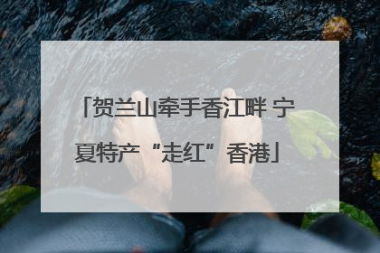 贺兰山牵手香江畔 宁夏特产“走红”香港