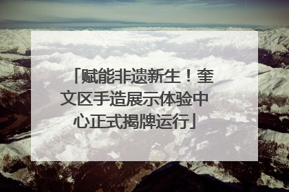 赋能非遗新生！奎文区手造展示体验中心正式揭牌运行