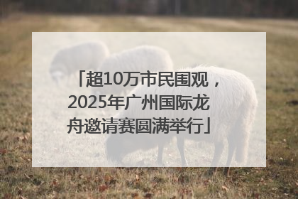 超10万市民围观，2025年广州国际龙舟邀请赛圆满举行