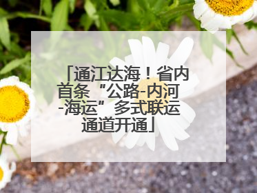 通江达海！省内首条“公路-内河-海运”多式联运通道开通