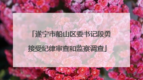 遂宁市船山区委书记段勇接受纪律审查和监察调查