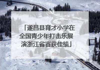 遂昌县育才小学在全国青少年打击乐展演浙江省赛获佳绩