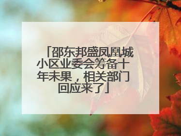 邵东邦盛凤凰城小区业委会筹备十年未果，相关部门回应来了