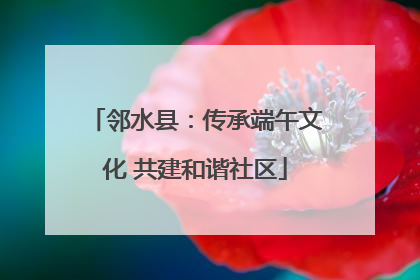 邻水县：传承端午文化 共建和谐社区