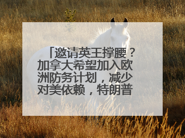 邀请英王撑腰？加拿大希望加入欧洲防务计划，减少对美依赖，特朗普：成为美国第51个州，免费用“金穹”