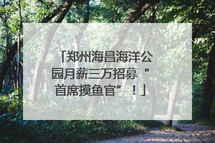 郑州海昌海洋公园月薪三万招募“首席摸鱼官”！
