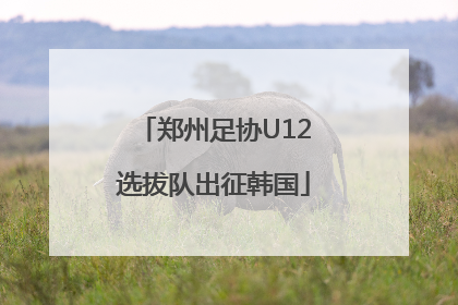 郑州足协U12选拔队出征韩国