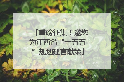 重磅征集！邀您为江西省“十五五”规划建言献策