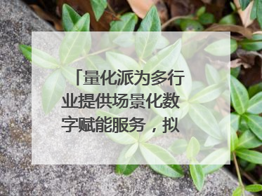 量化派为多行业提供场景化数字赋能服务，拟港交所上市