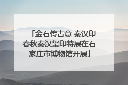 金石传古意 秦汉印春秋秦汉玺印特展在石家庄市博物馆开展