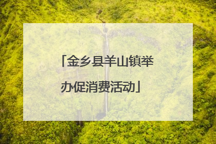 金乡县羊山镇举办促消费活动