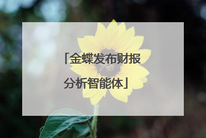 金蝶发布财报分析智能体