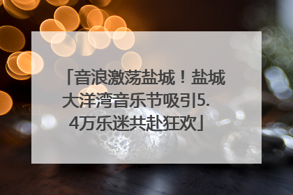 音浪激荡盐城！盐城大洋湾音乐节吸引5.4万乐迷共赴狂欢