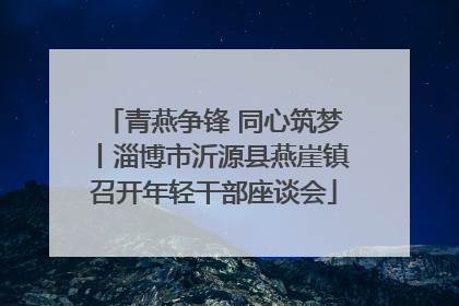 青燕争锋 同心筑梦丨淄博市沂源县燕崖镇召开年轻干部座谈会