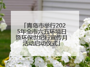 青岛市举行2025年全市六五环境日暨环保世纪行宣传月活动启动仪式
