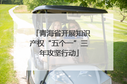 青海省开展知识产权“五个一”三年攻坚行动