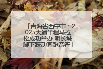 青海省西宁市：2025大通半程马拉松成功举办 明长城脚下跃动奔跑音符