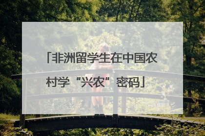 非洲留学生在中国农村学“兴农”密码