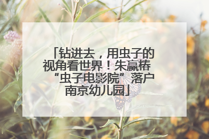 钻进去，用虫子的视角看世界！朱赢椿“虫子电影院”落户南京幼儿园