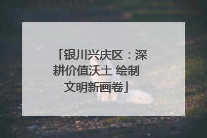 银川兴庆区：深耕价值沃土 绘制文明新画卷