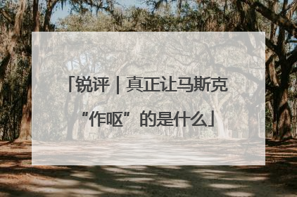 锐评｜真正让马斯克“作呕”的是什么