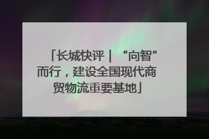 长城快评｜“向智”而行，建设全国现代商贸物流重要基地