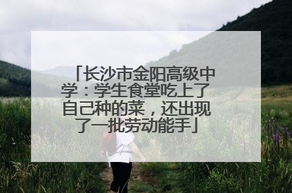 长沙市金阳高级中学：学生食堂吃上了自己种的菜，还出现了一批劳动能手