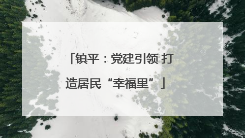 镇平：党建引领 打造居民“幸福里”