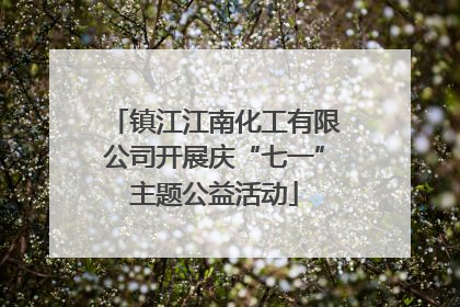 镇江江南化工有限公司开展庆“七一”主题公益活动