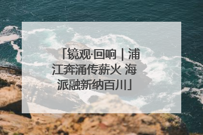 镜观·回响｜浦江奔涌传薪火 海派融新纳百川