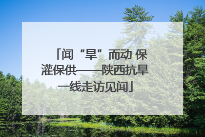 闻“旱”而动 保灌保供——陕西抗旱一线走访见闻