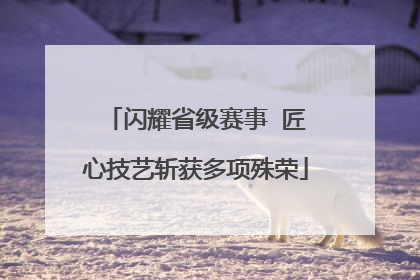 闪耀省级赛事  匠心技艺斩获多项殊荣