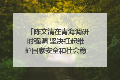 陈文清在青海调研时强调 坚决扛起维护国家安全和社会稳定职责使命 为谱写中国式现代化青海篇章贡献政法力量