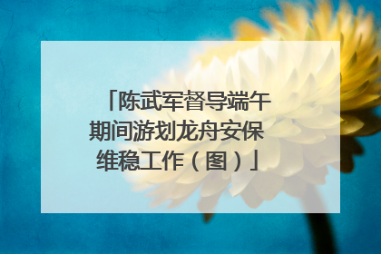 陈武军督导端午期间游划龙舟安保维稳工作（图）