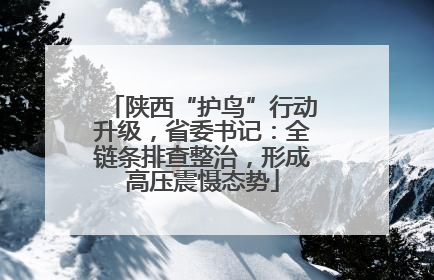陕西“护鸟”行动升级，省委书记：全链条排查整治，形成高压震慑态势