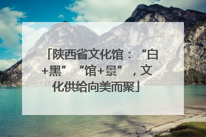 陕西省文化馆：“白+黑”“馆+景”，文化供给向美而聚