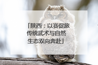 陕西：以赛促旅 传统武术与自然生态双向奔赴