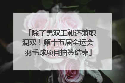 除了男双王昶还兼职混双！第十五届全运会羽毛球项目抽签结束