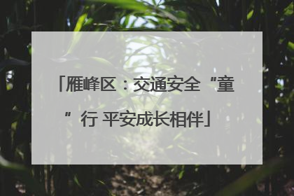 雁峰区：交通安全“童”行 平安成长相伴