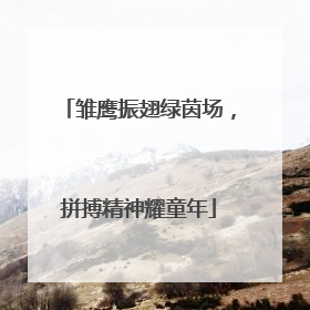 雏鹰振翅绿茵场，拼搏精神耀童年