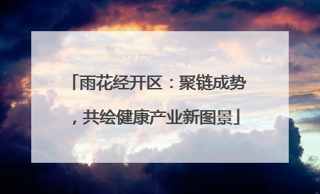 雨花经开区：聚链成势，共绘健康产业新图景