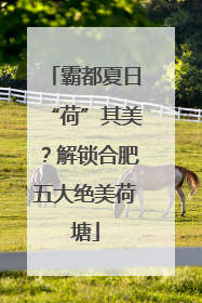 霸都夏日“荷”其美？解锁合肥五大绝美荷塘