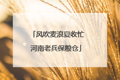 风吹麦浪夏收忙 河南老兵保粮仓