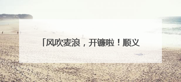 风吹麦浪，开镰啦！顺义15万亩小麦迎来丰收